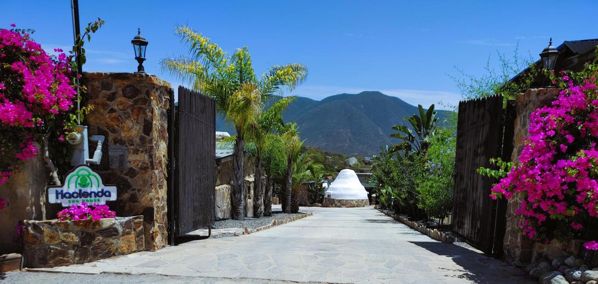 فيلا Hacienda Eco-Domes فالي دي جوادالوبي المظهر الخارجي الصورة